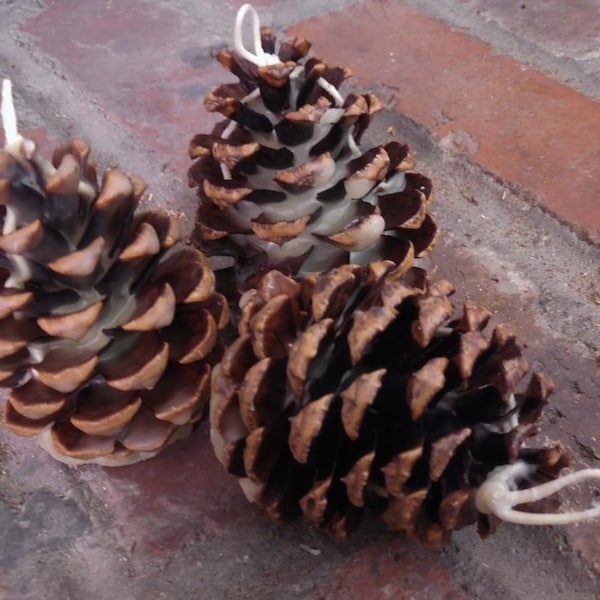 Pine Cone Fire Starters (Set of 5) - All Natural Ponderosa