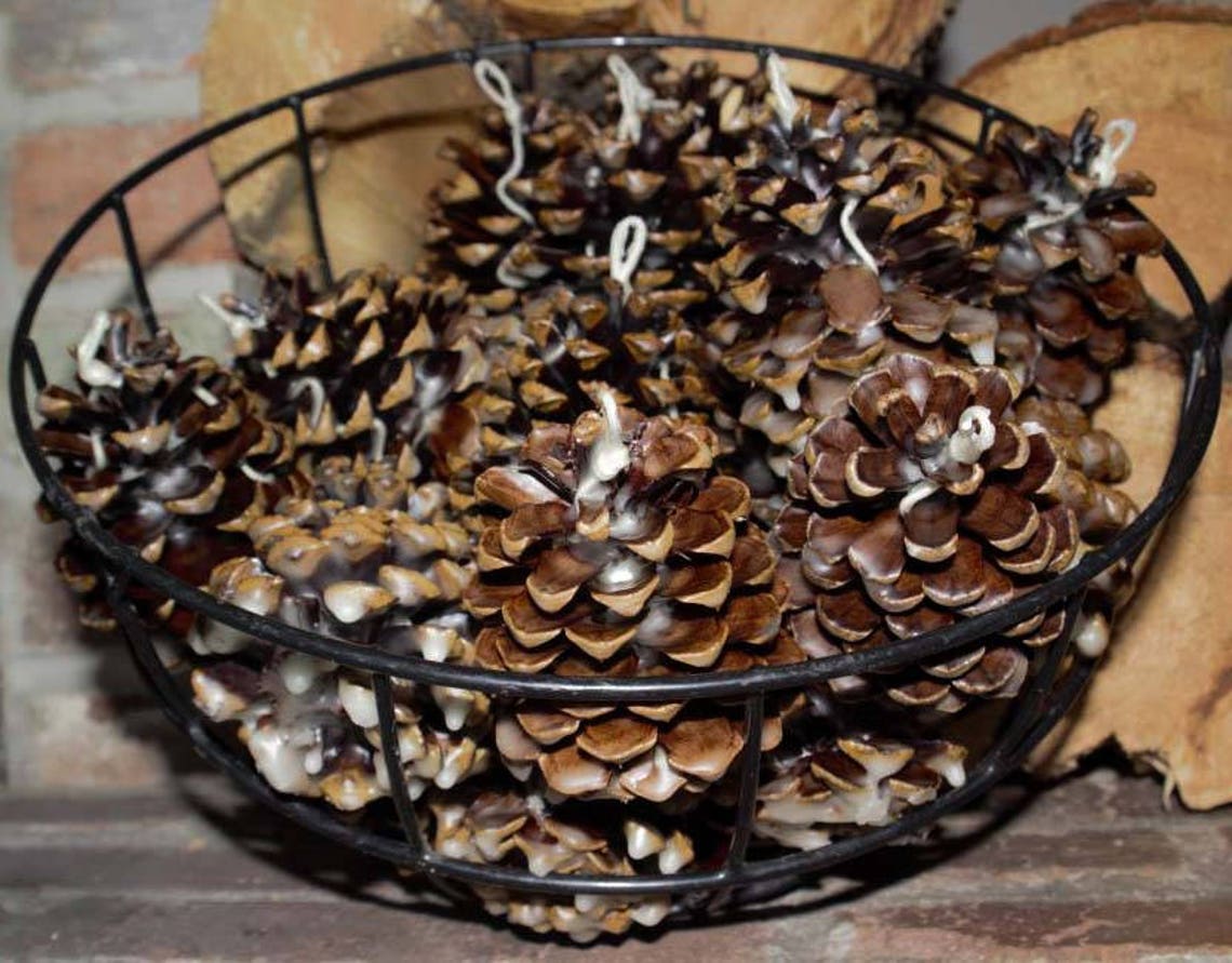 Pine Cone Fire Starters set of 5 All Natural Ponderosa Etsy