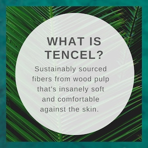 Tencel Organic Cotton Underwear, Ethically Made Women's Briefs, Sustainable Natural Fiber Underwear, Elastic Free Womens Underwear image 4