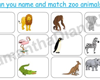 zoo animal vocabulary matching velcro activity sheet pdf etsy