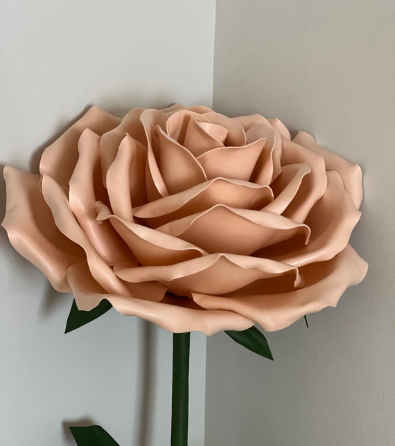 Beige rose