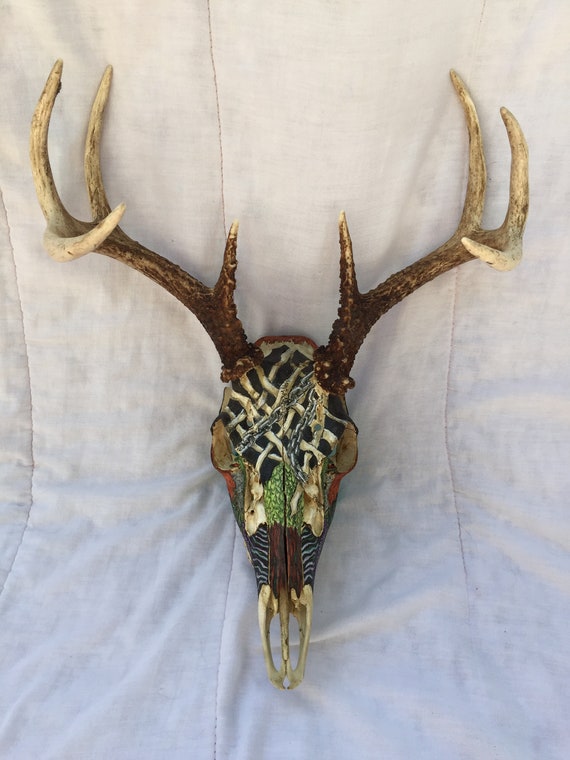 Hand Painted Deer Skull Etsy