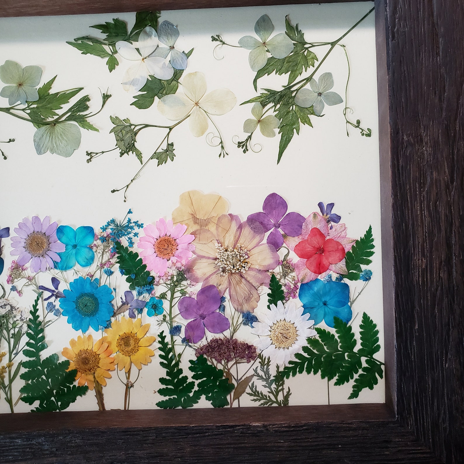 Colorful Pressed Flower Framed Art | Etsy
