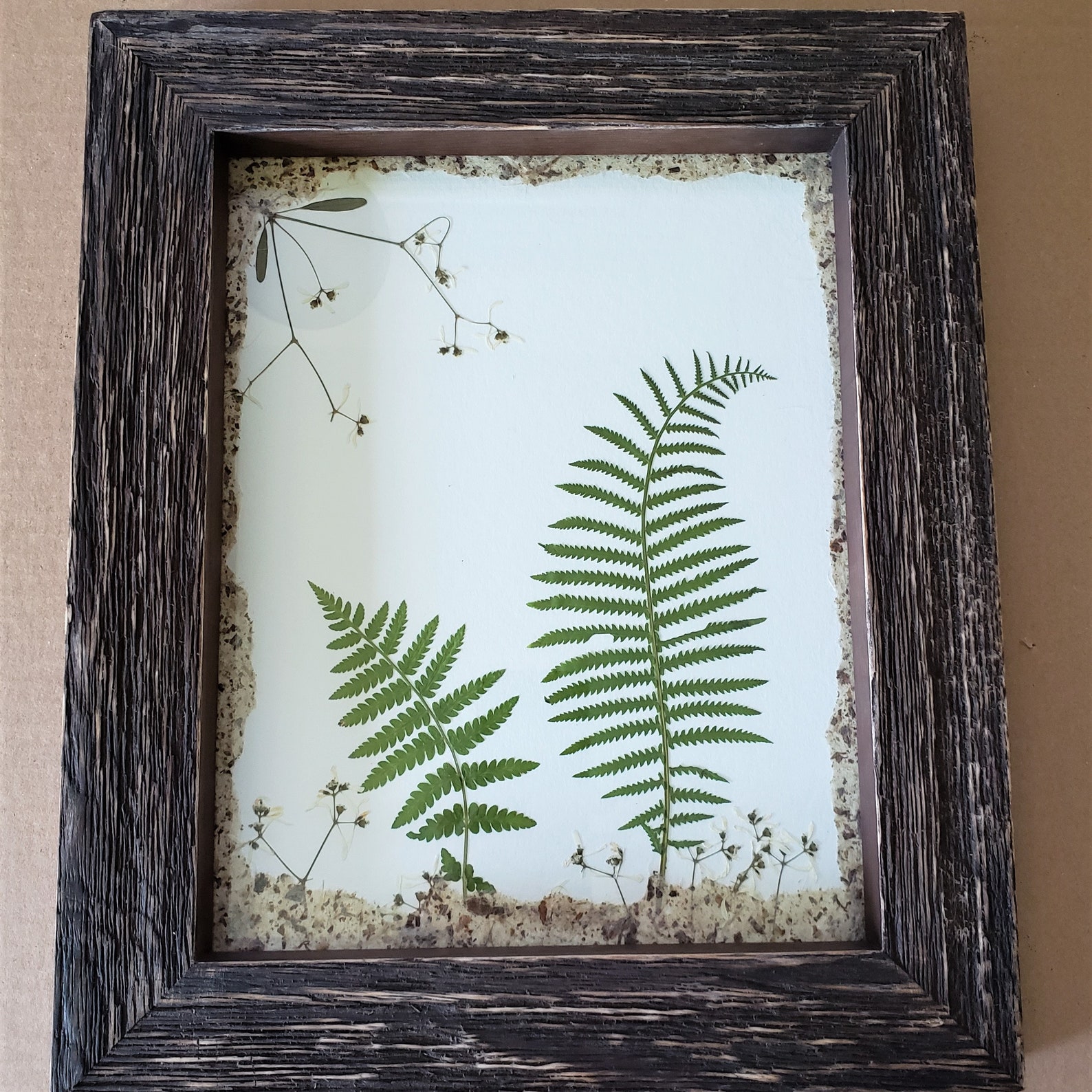 Natural Pressed Ferns Art in Rustic Frame | Etsy