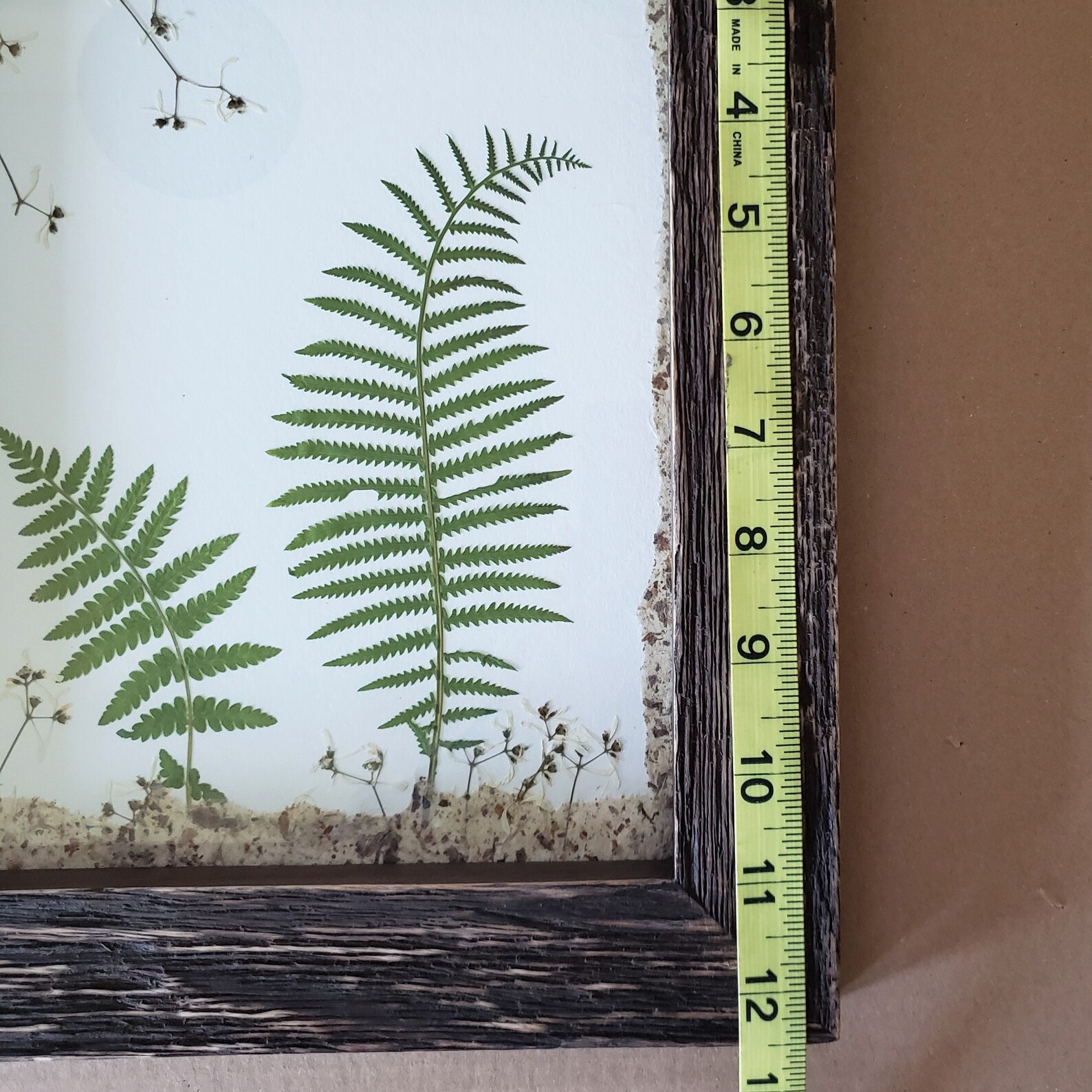 Natural Pressed Ferns Art in Rustic Frame | Etsy
