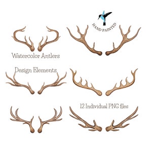 Watercolor antlers -  Antler clipart collection, watercolor clipart, boho design, personal and commercial Use