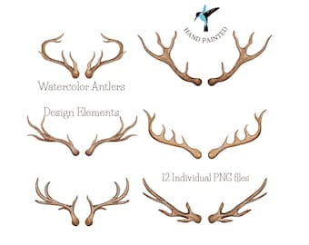 Watercolor antlers -  Antler clipart collection, watercolor clipart, boho design, personal and commercial Use
