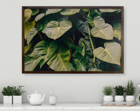 Green Leaves Nature Photo Plant Nature Wall Art Decor - Etsy