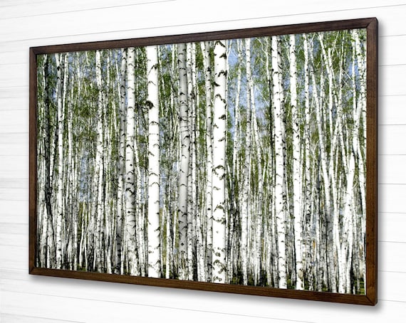 Birch Tree Wall Art Canvas Wrapped Frame Home Wall Decor - Etsy