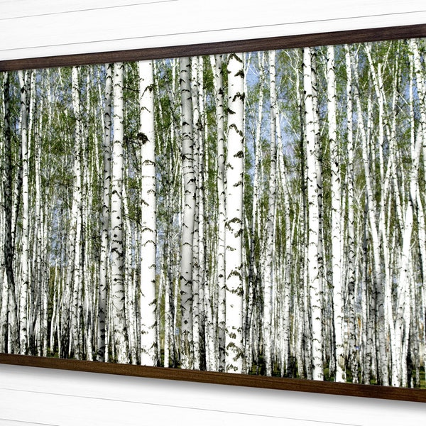 Birch Tree Wall Art Etsy