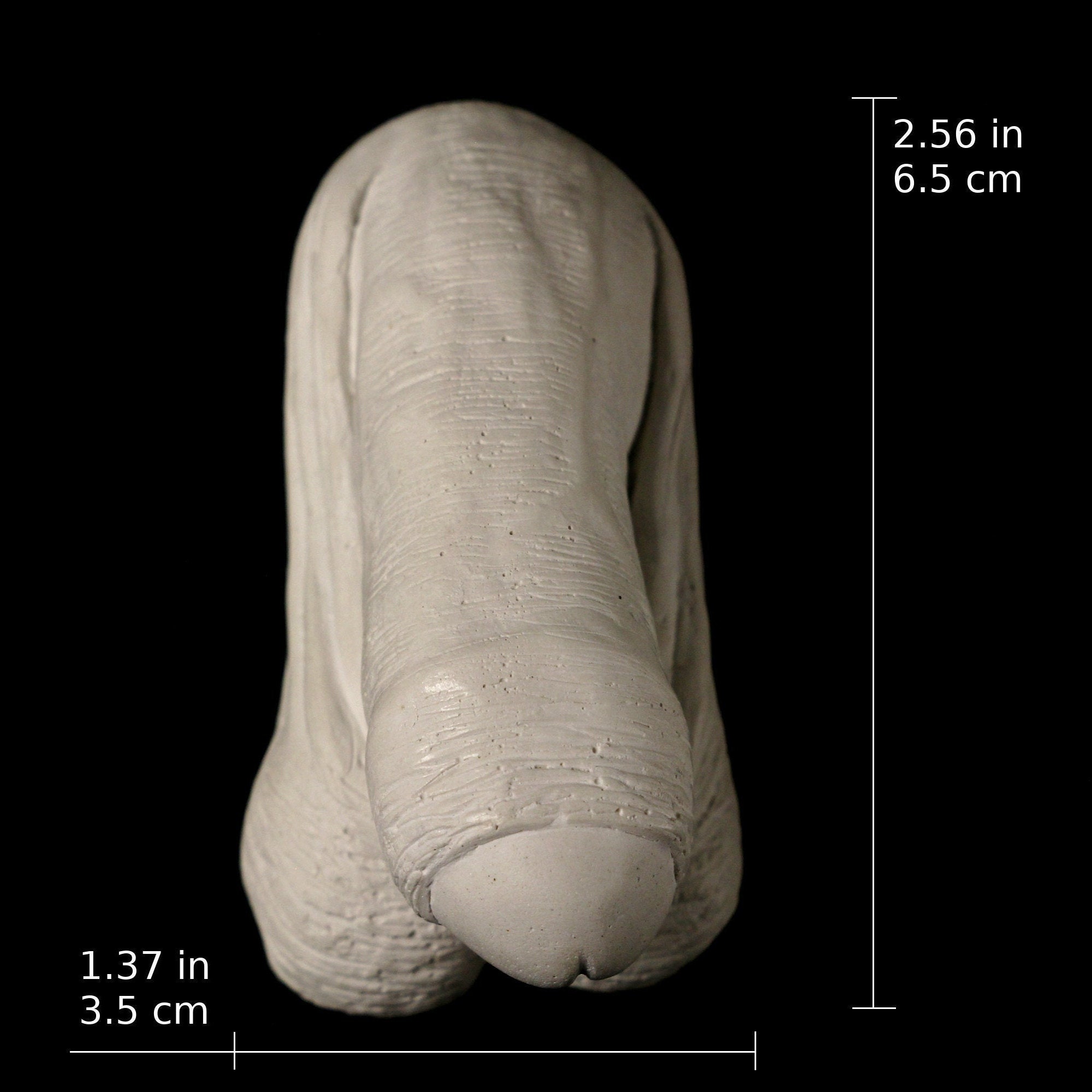 Male Anatomy