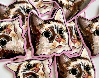 Cute Cat Sticker | Silly Cat Sticker | Kitty Sticker | Stickers for Kindle, Water Bottles, & Laptops | Gift for Cat Lovers and Cat Moms