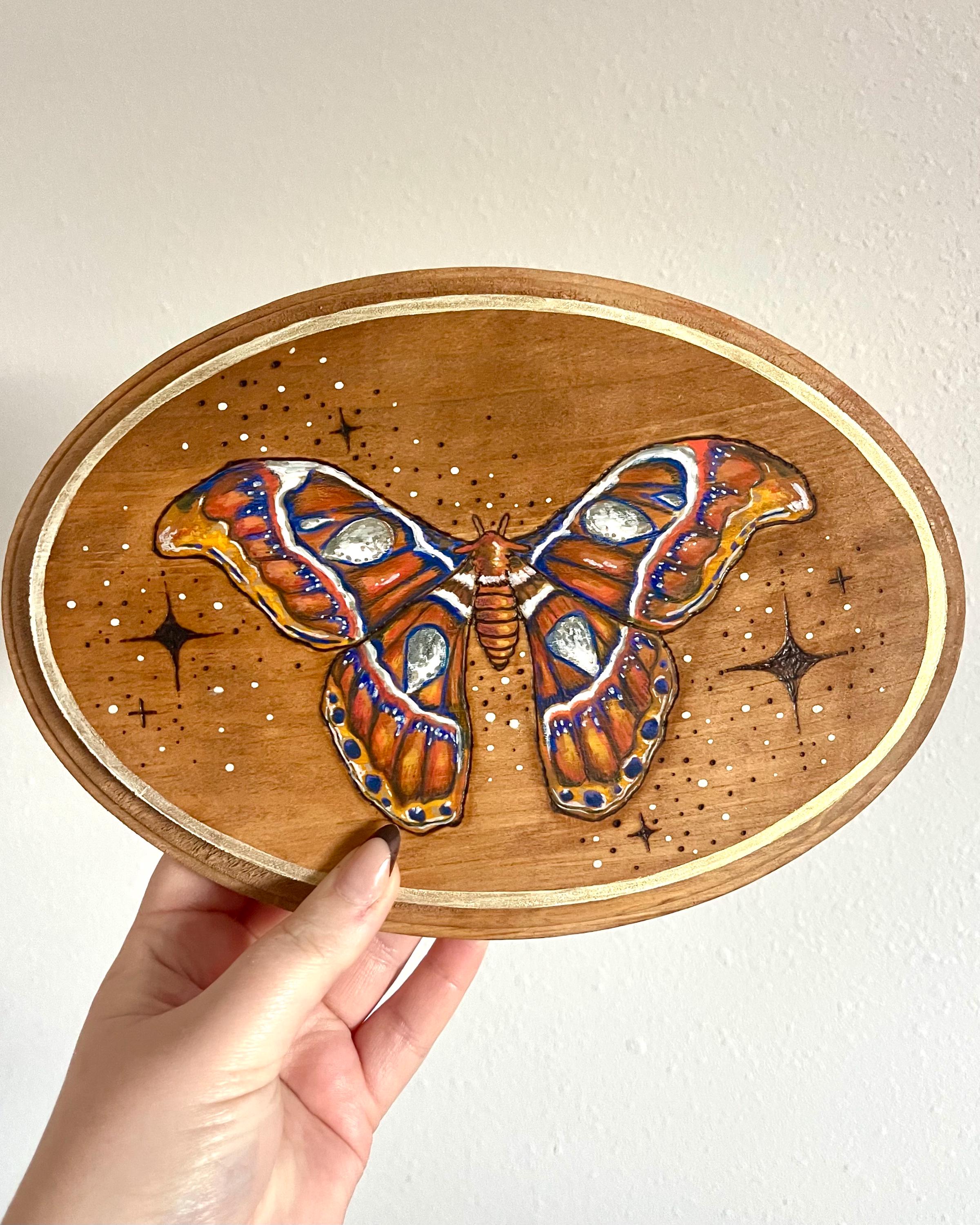 Atlas Moth Pyrography Art, Wood Burned Insect Illustration - Etsy