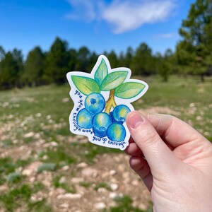 Motivational Fruit Stickers | Blueberry Sticker | Strawberry Sticker ...