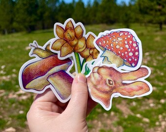 Cute Cottagecore Vinyl Stickers | Nature Stickers | Mushroom Stickers | Stickers for Kindle, Water Bottles, & Laptops | Die Cut Sticker