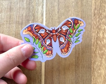 Atlas Moth Sticker | Moth Sticker | Bug Sticker | Stickers for Kindle, Water Bottles, & Laptops | Gift for Bug Lovers