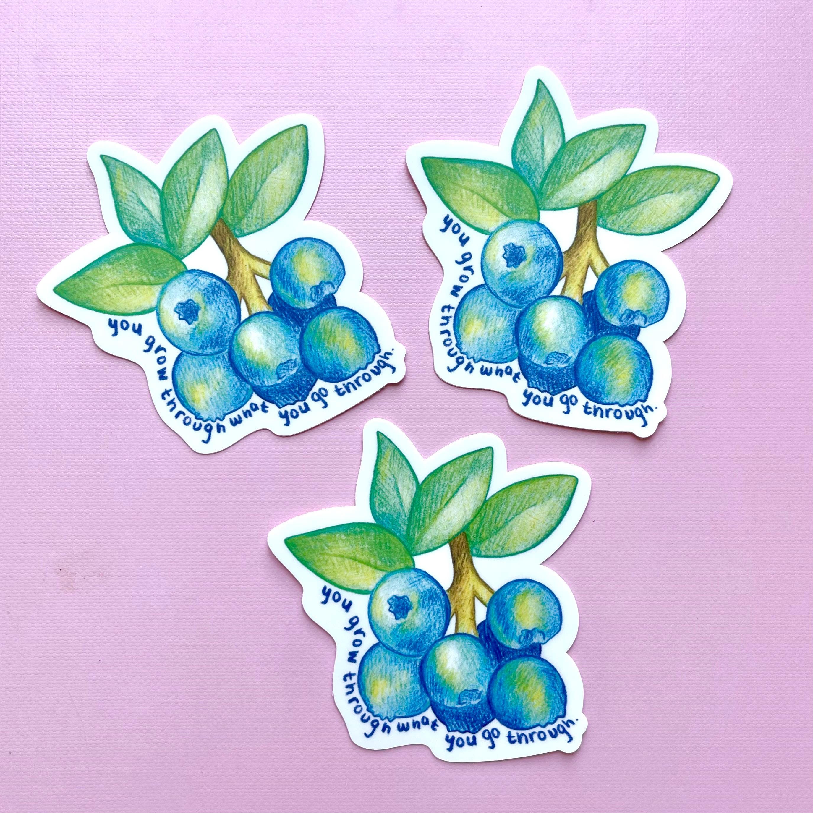 Motivational Fruit Stickers | Blueberry Sticker | Strawberry Sticker ...