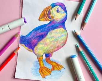 Colorful Rainbow Puffin Colored Pencil Drawing | Penguin Drawing | Colorful Animal Drawing | Gift For Animal Lovers | Penguin Artwork