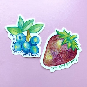 Adesivi motivazionali a forma di frutta / Adesivi a forma di mirtillo / Adesivi a forma di fragola / Adesivi per Kindle, bottiglie d'acqua e laptop / Adesivi fustellati