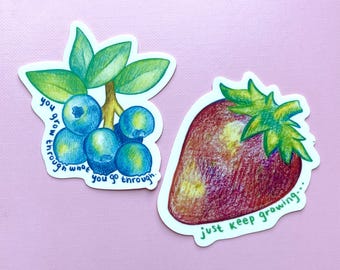 Pegatinas motivacionales de frutas / Pegatina de arándano / Pegatina de fresa / Pegatinas para Kindle, botellas de agua y portátiles / Pegatina troquelada