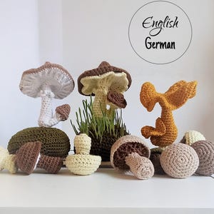 Wzór szydełkowy na grzyby: 5 realistycznych grzybów amigurumi – dekoracja DIY na wiosnę i jesień (PDF)
