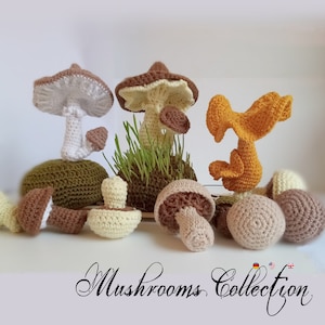 Mushroom Crochet Pattern PDF – 5 Realistic Amigurumi Mushrooms – Easy DIY Spring & Halloween Decor – Digital Toy Pattern