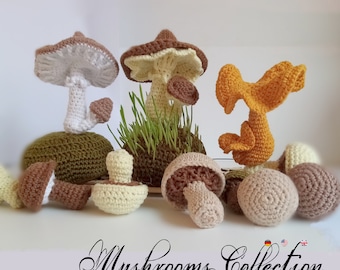 Mushroom Crochet Pattern: 5 Realistic Amigurumi Mushrooms - DIY Spring & Autumn Decor (PDF)