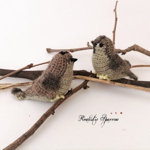 Realistic Sparrow * Real birds * Crochet Pdf pattern * Amigurumi toy * Decor