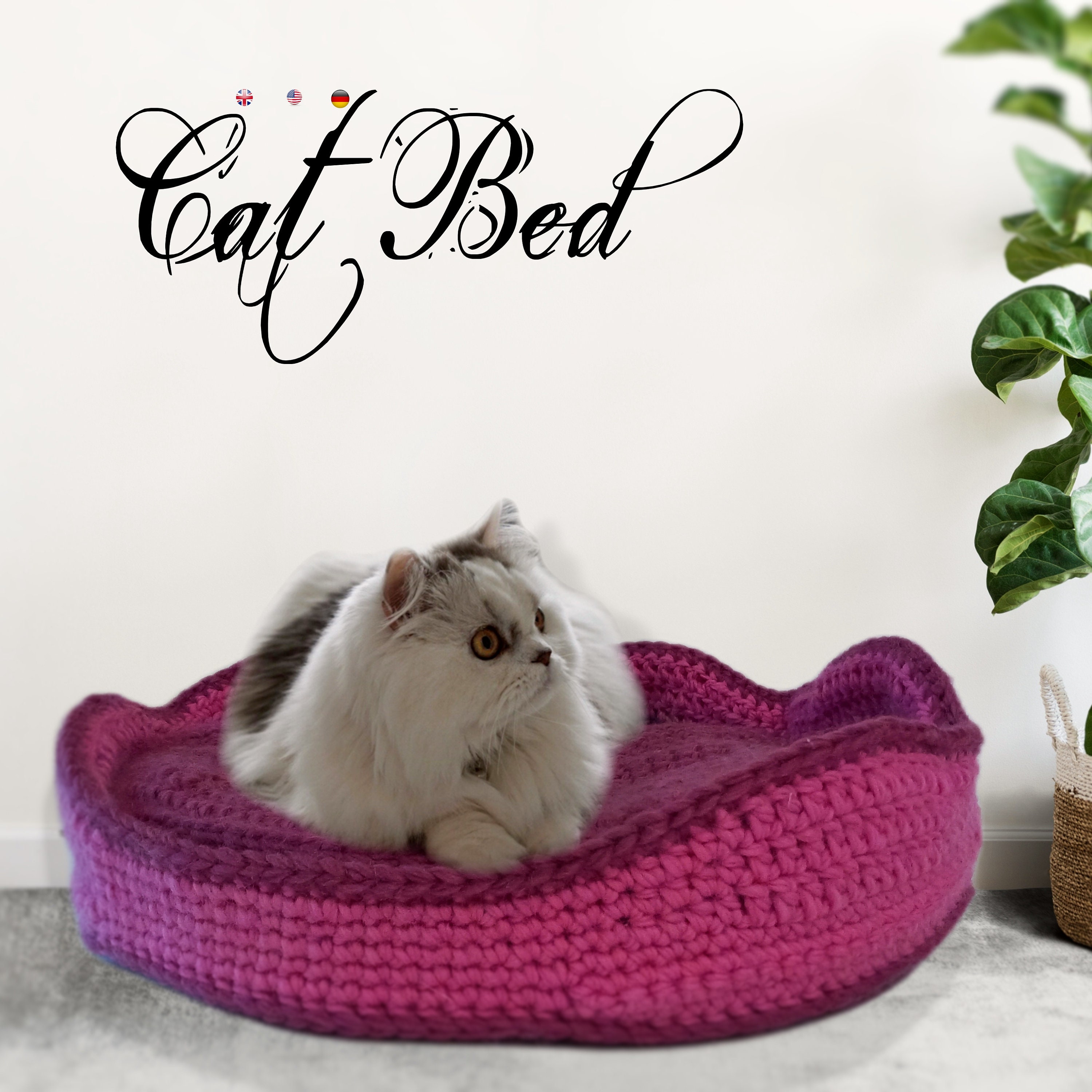 Cat basket deals footwear