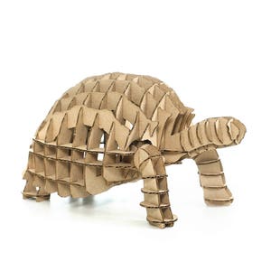 Turtle Shell Layout Carboard Turtle 3D Cardboard Puzzle - Etsy