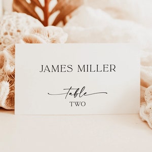 Modern Wedding Place Cards, Escort Cards, Rustic Place Cards, Table Name Cards, Minimalist Wedding Place Cards, Editable Template, M9