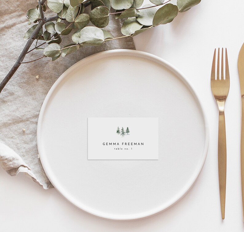 Winter Wedding Table Cards Printable Wedding Place Cards Minimal Rustic Wedding Place Card Template Editable Escort Name Cards
