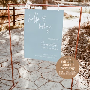 May include: A light blue welcome sign with the text "hello baby" and "Samantha's Baby Shower" with the date "September 14th, 20XX". The sign is hanging on a copper pipe stand.
