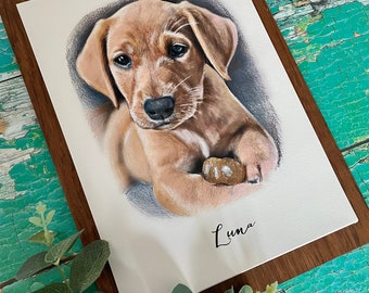 Ritratto a matita personalizzato per animali domestici, opera d'arte commemorativa personalizzata per cani