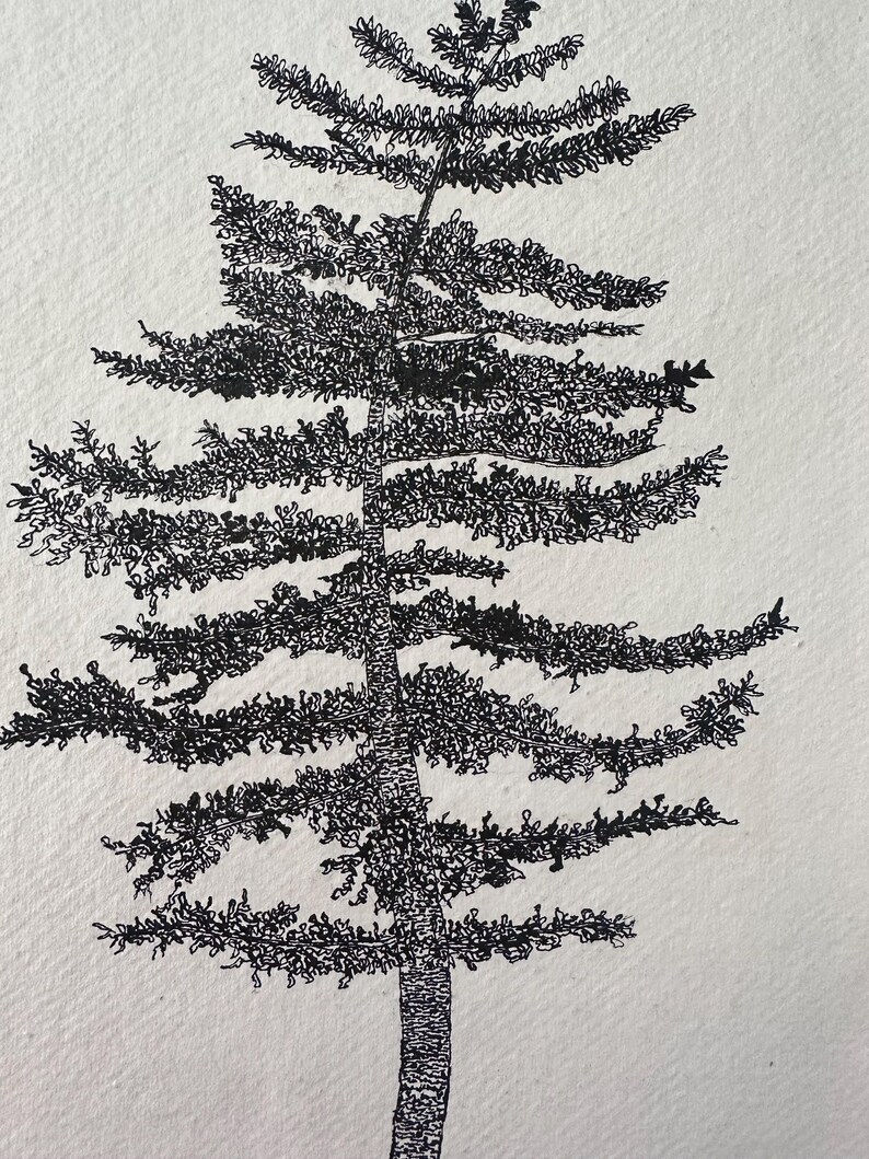 Original Ink Drawing Pine Tree | Black and White Botanical Forest ...