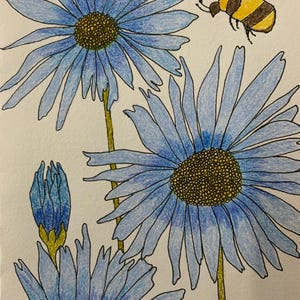 cartão de felicitações em branco feito à mão, pintado à mão com flores azuis suaves, pintura a lápis de cor