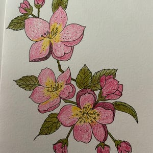 cartão de felicitações em branco feito à mão, pintado à mão com flores rosa suaves, pintura a lápis de cor