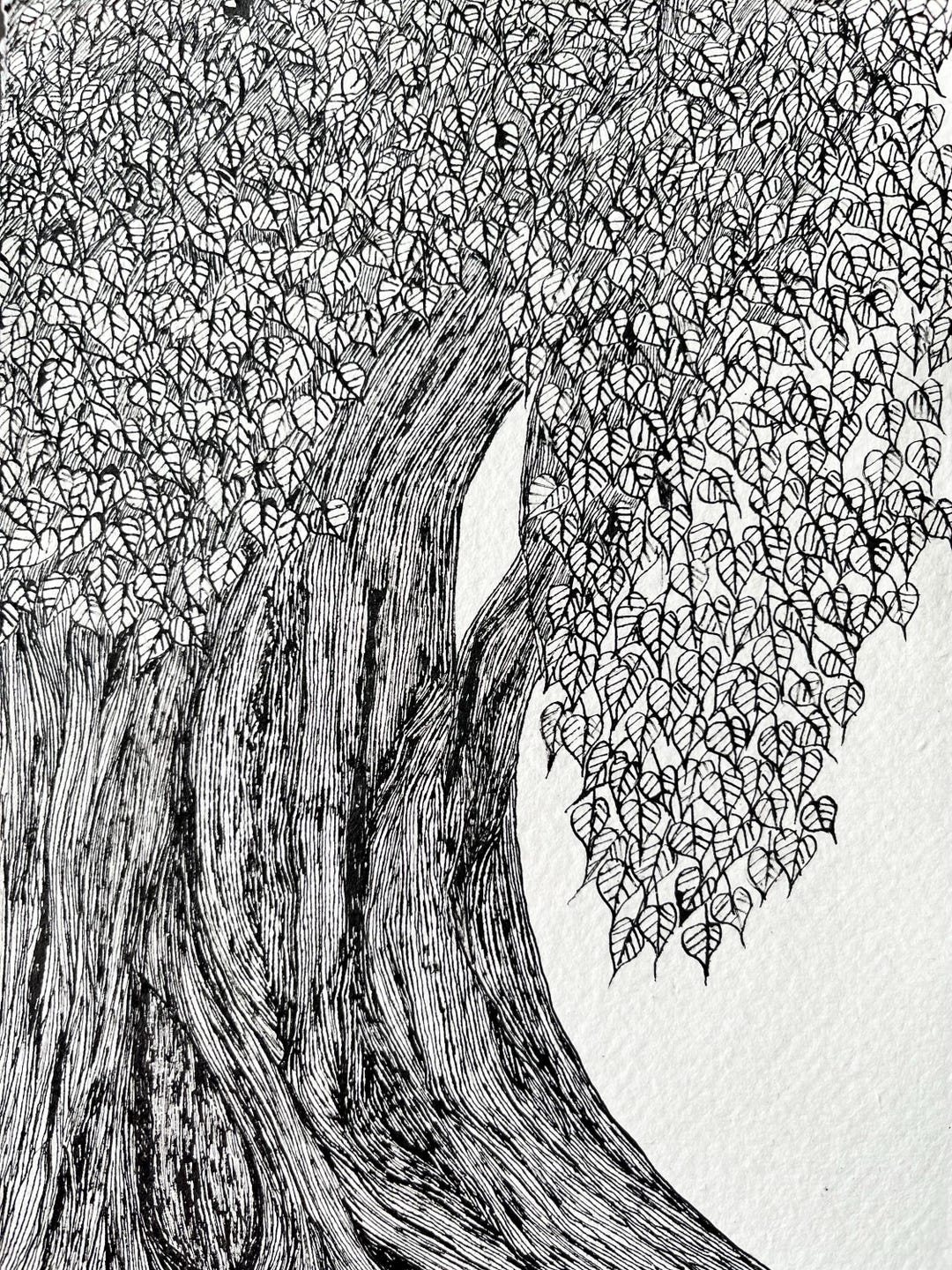 Original Ink Tree Drawing: Hand-drawn Botanical Art on Textured Paper ...