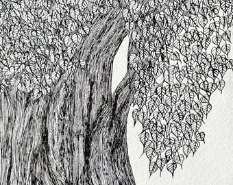 Original Ink Tree Drawing: Hand-Drawn Botanical Art on Textured Paper