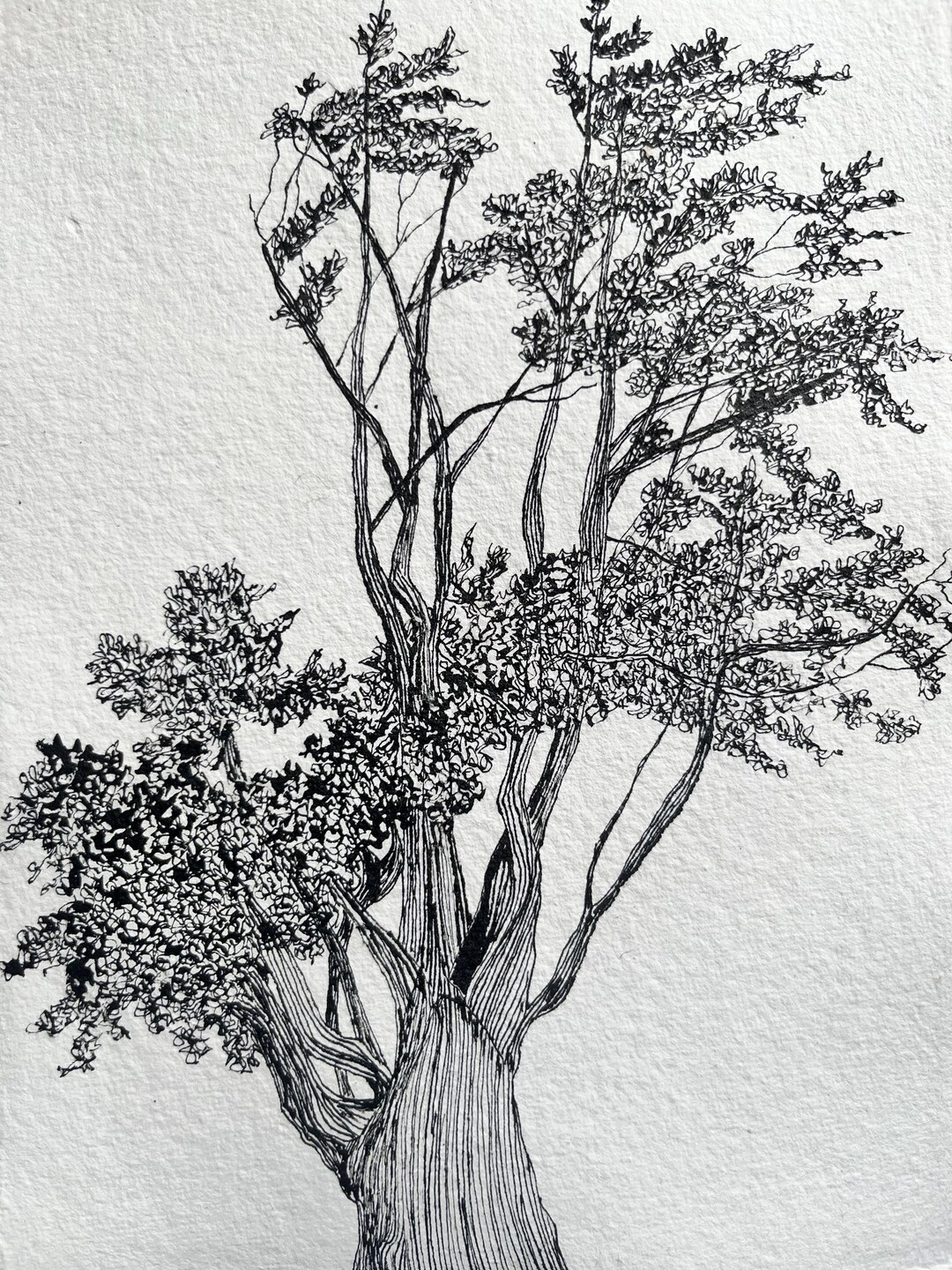 Hand-drawn Tree Illustration: Fine Line Ink Drawing on Textured Paper ...