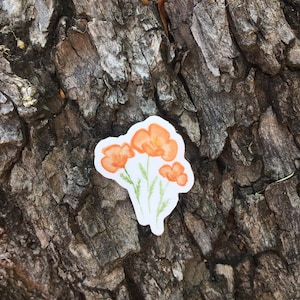 Tiny California Poppy Vinyl Sticker