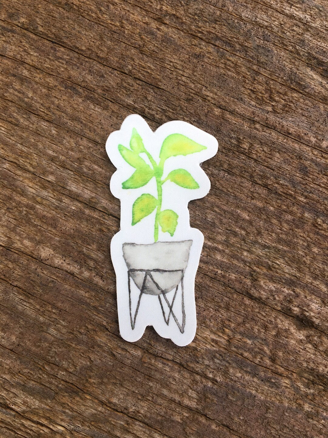 Houseplant Vinyl Sticker Etsy