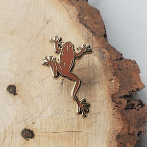 May include: A gold-colored frog pin with a brown enamel finish. The frog is depicted in a leaping pose with its legs outstretched.