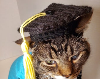 Gehaakte afstudeerdop, Grad Cap voor huisdieren, Gehoorzaamheid School afstudeerdop, Gehaakte hoed, Huisdier hoeden, Gehaakte pet