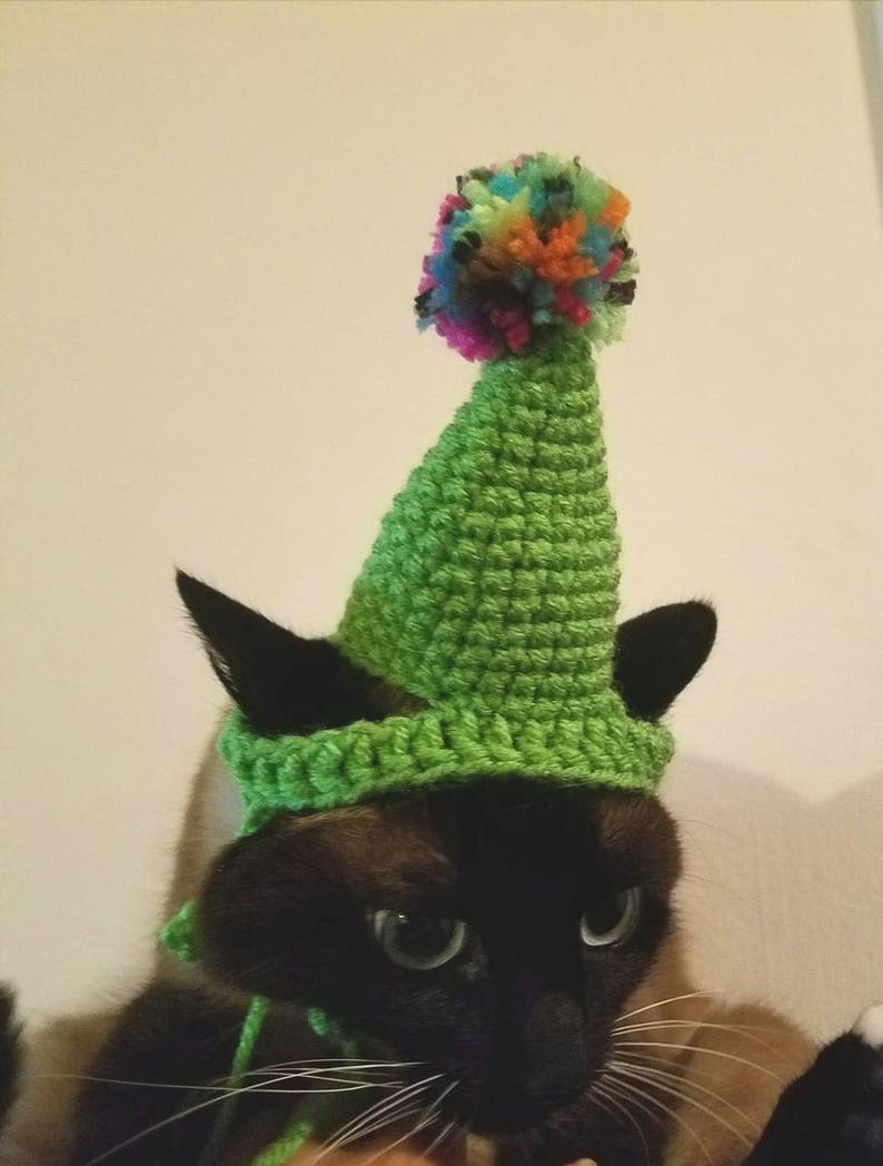 Crochet Birthday Hats for Pets Crochet Hat Pet Hats Birthday Etsy