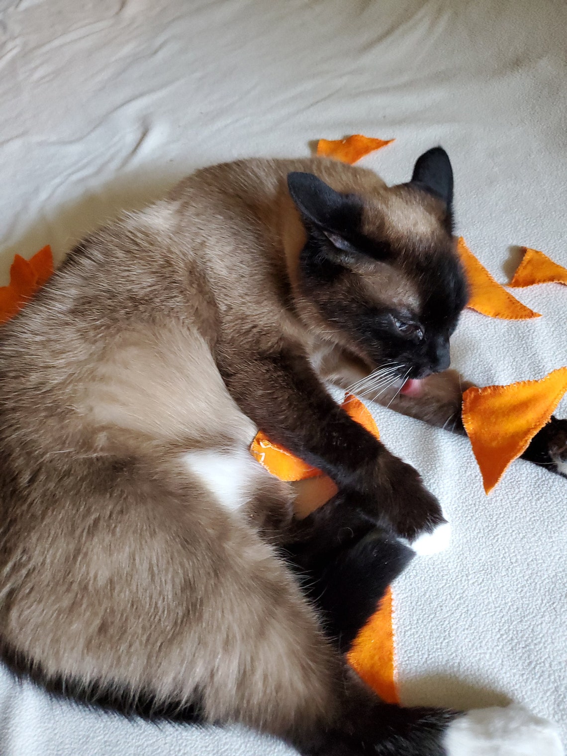 Catnip Doritos Doritos for Cats Catnip Cat Nip Doritos Toys Etsy