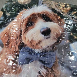 May include: A jigsaw puzzle featuring a close-up of a dog with brown and white fur, wearing a denim bow tie. The dog has a black nose and is looking directly at the viewer. The puzzle pieces are visible, and the image has a glossy finish.