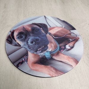 May include: Round mousepad featuring a Boxer dog with a brown and black coat, wearing a blue harness. The dog is lying down, looking directly at the viewer. The background shows a car seat.