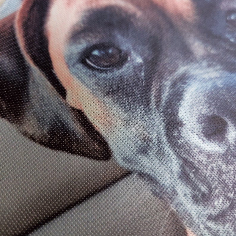 May include: Close-up of a printed fabric featuring a dog's face. The dog has a black and gray coat with a few pinkish-tan areas. The dog's eye is dark and focused, and the fabric has a textured appearance.
