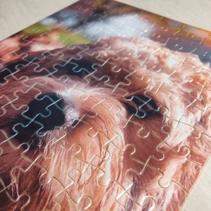 May include: A partially assembled jigsaw puzzle featuring a close-up of a dog's face. The dog has brown fur and dark eyes. The puzzle pieces are interlocked, showing the image's details.
